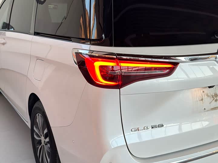 Фото 7 - Buick GL8 ES