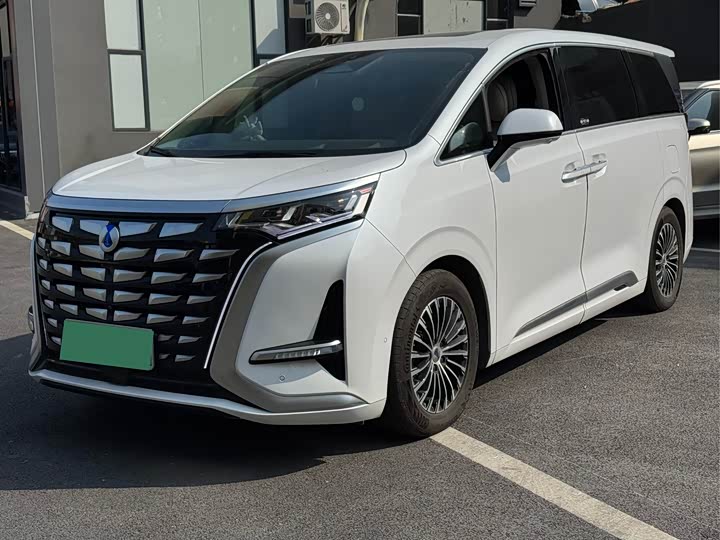 Фото 1 - Denza D9