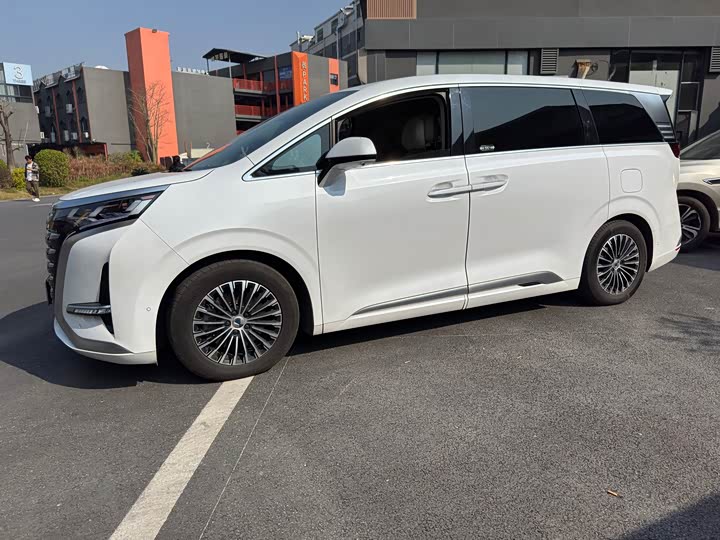 Фото 3 - Denza D9