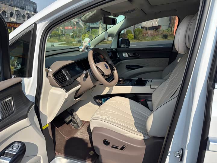 Фото 4 - Denza D9