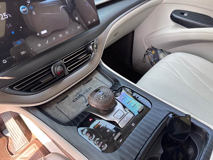 Фото 9 - Denza D9