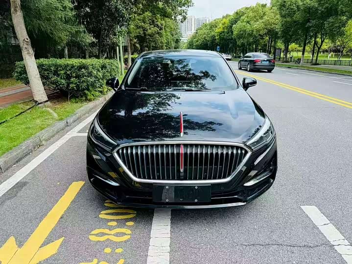 Фото 2 - Hongqi H5
