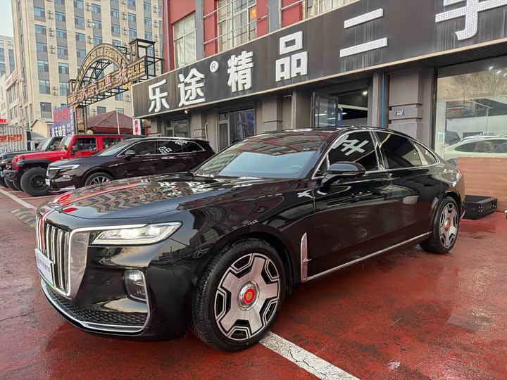 Фото 2 - Hongqi H9