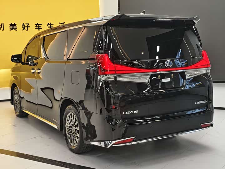 Фото 5 - Lexus LM