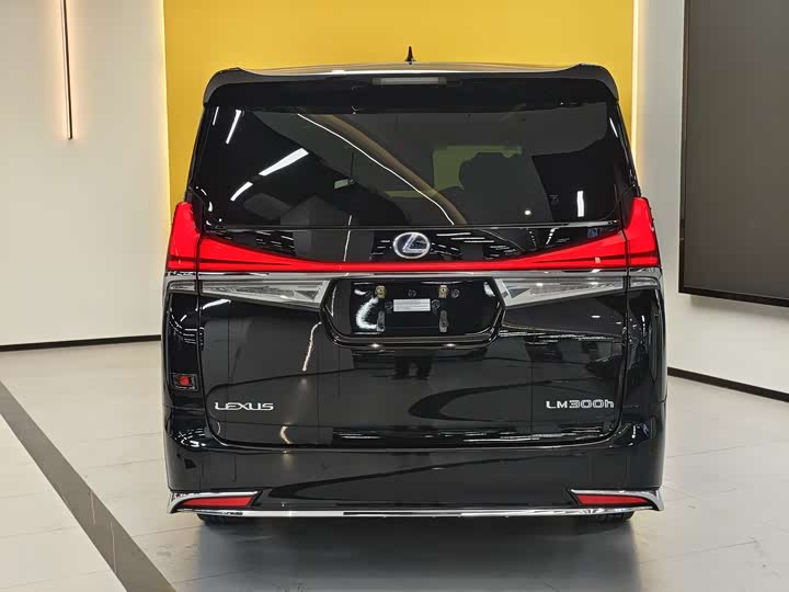 Фото 6 - Lexus LM