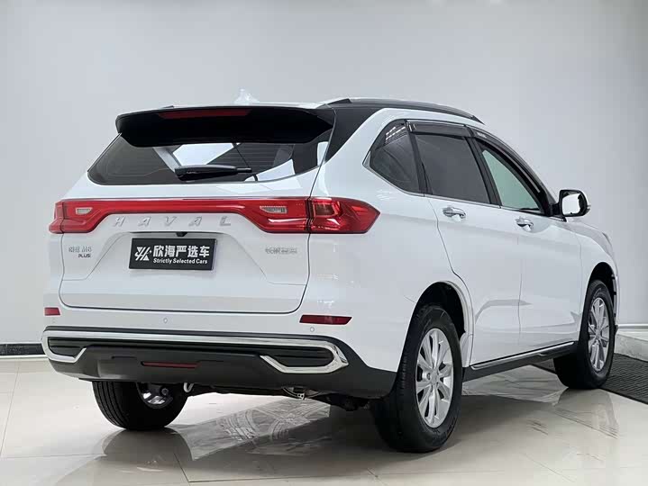 Фото 4 - Haval M6