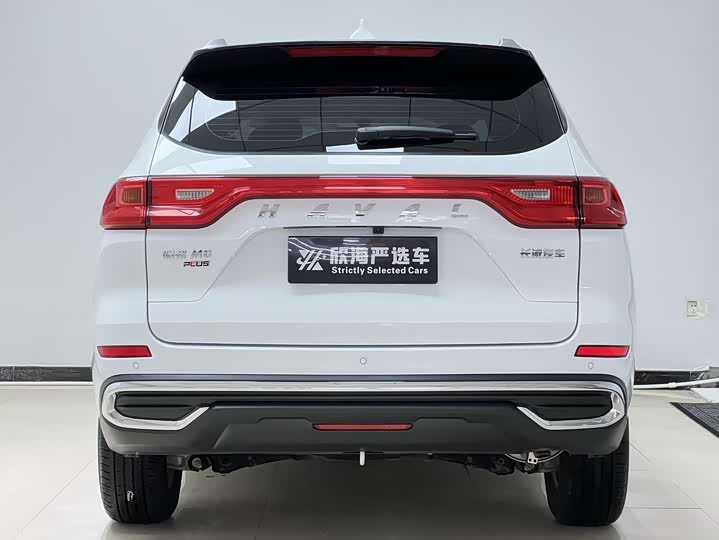 Фото 5 - Haval M6