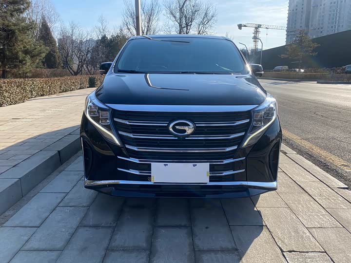 Фото 2 - GAC Trumpchi M8