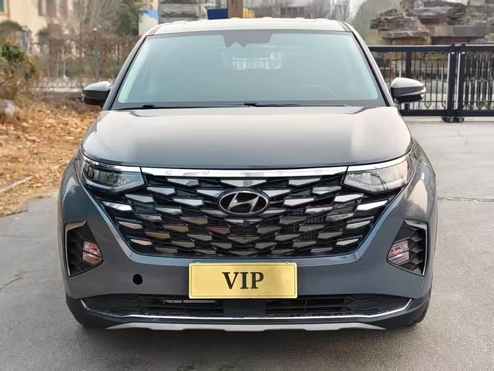 Фото 5 - Hyundai Custo