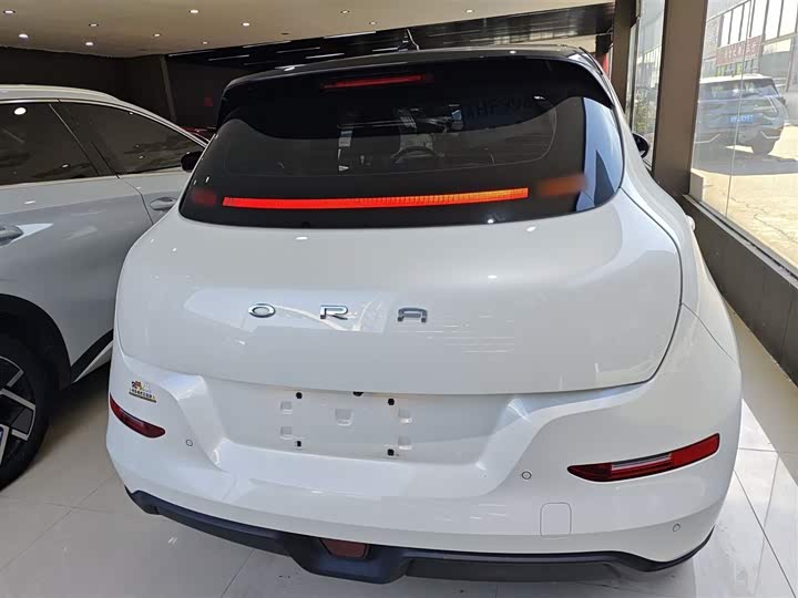 Фото 6 - Ora Good Cat (03)