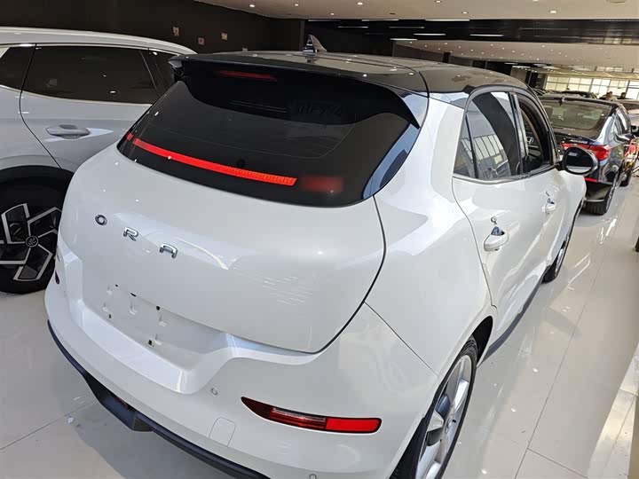 Фото 7 - Ora Good Cat (03)