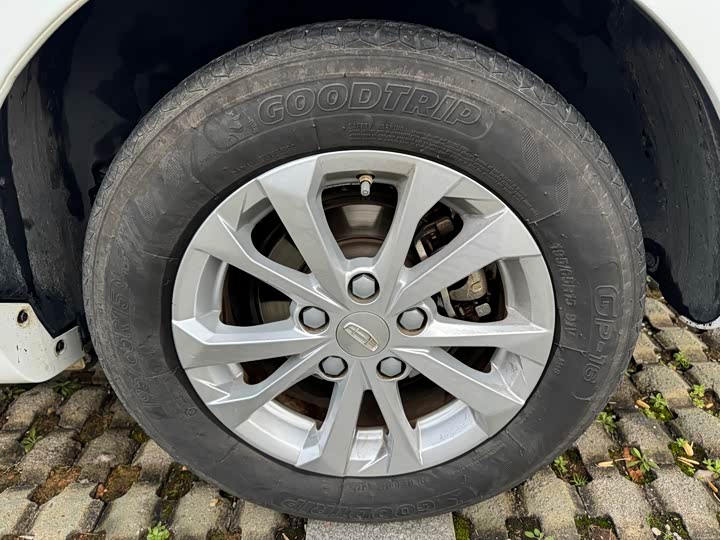 Фото 9 - Geely Emgrand