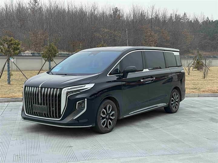 Фото 1 - Hongqi HQ9