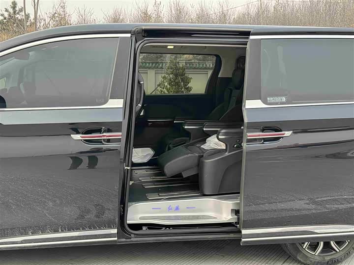 Фото 6 - Hongqi HQ9