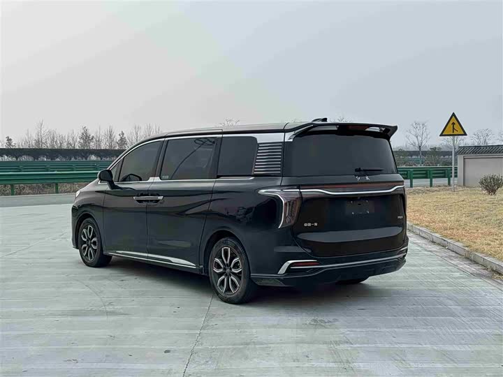 Фото 7 - Hongqi HQ9