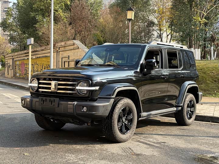 Фото 1 - Tank 300