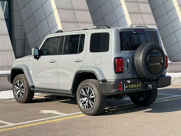 Фото 7 - Tank 300