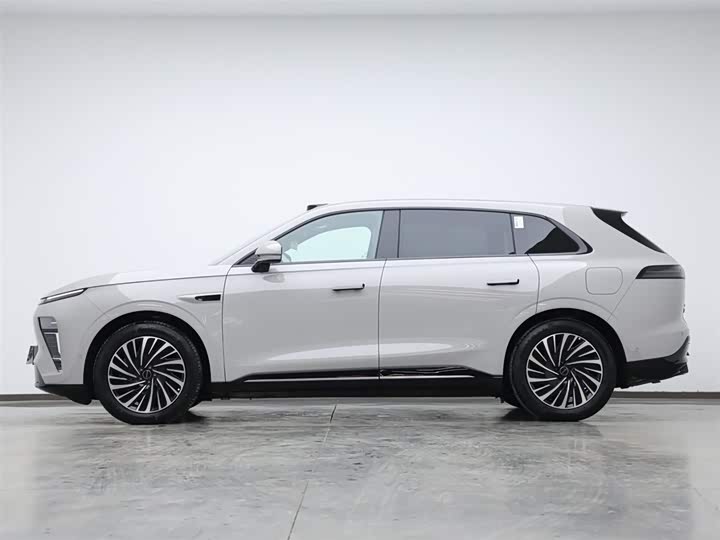 Фото 5 - Exeed Sterra ET