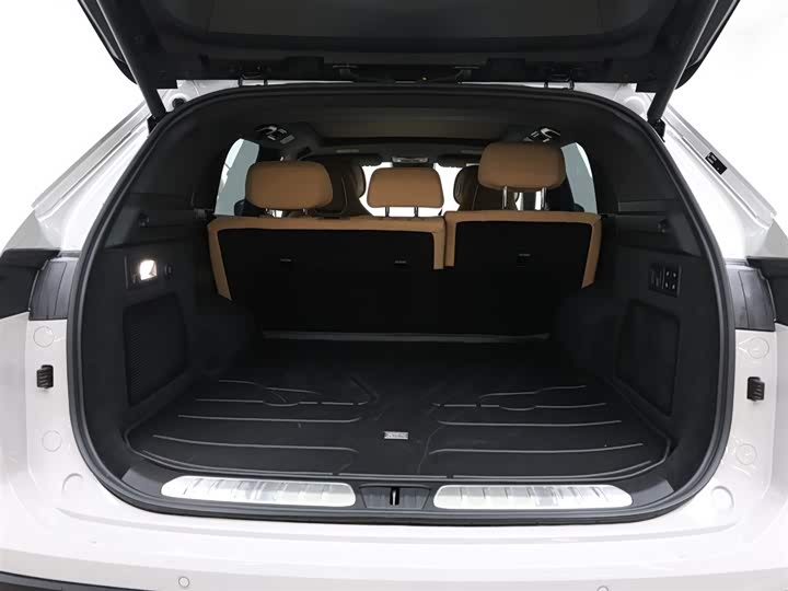 Фото 8 - Exeed Sterra ET