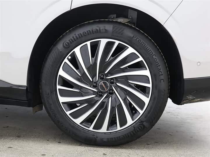 Фото 9 - Exeed Sterra ET