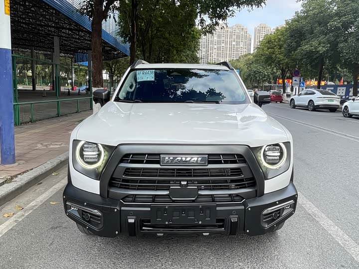 Фото 2 - Haval Dargo