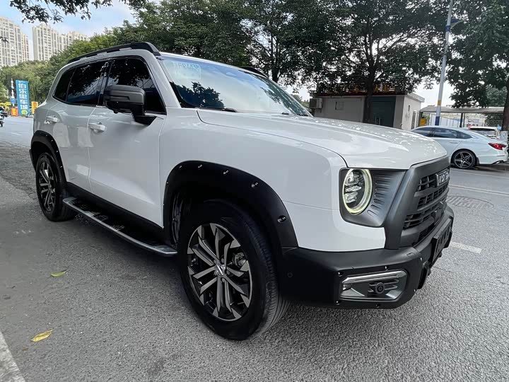 Фото 3 - Haval Dargo