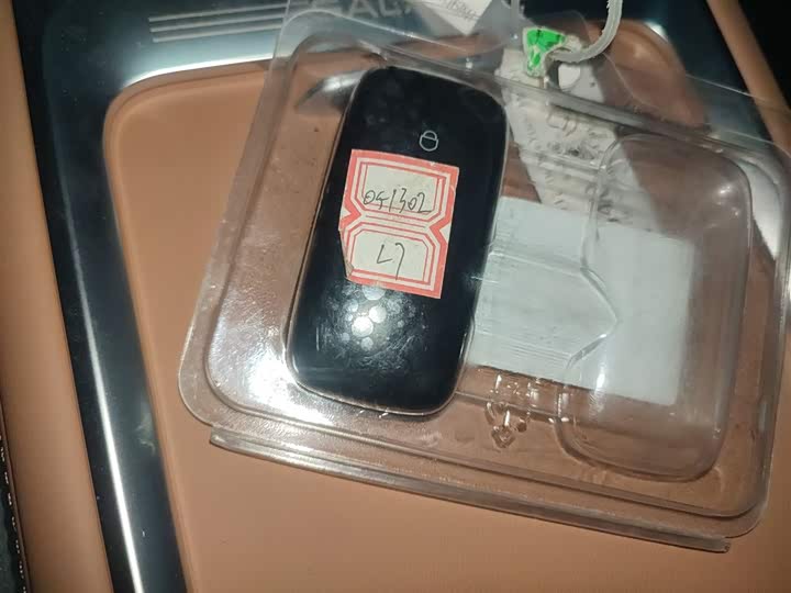 Фото 9 - Geely Galaxy L7