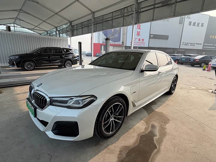 Фото 1 - BMW 5 Series Hybrid