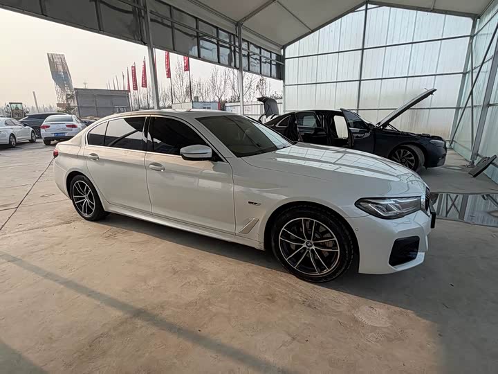 Фото 2 - BMW 5 Series Hybrid