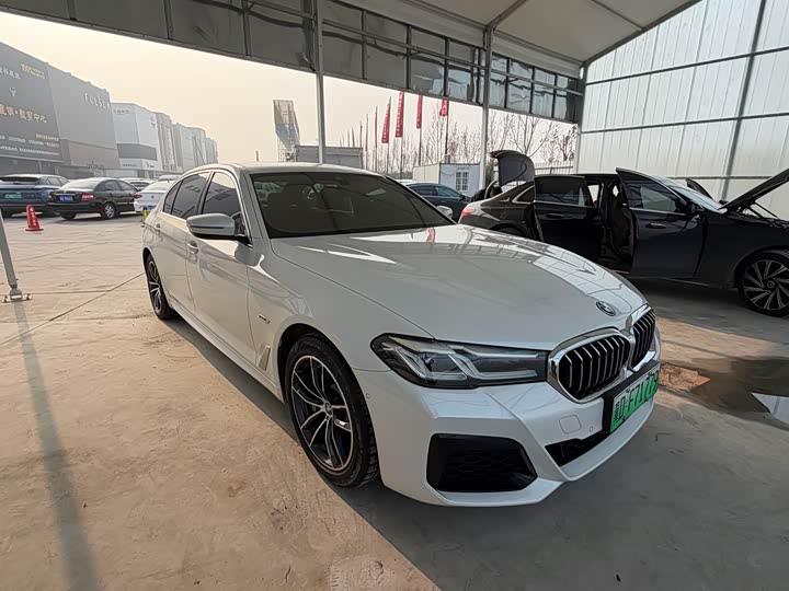 Фото 3 - BMW 5 Series Hybrid