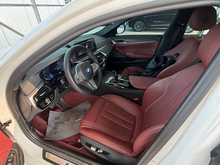 Фото 5 - BMW 5 Series Hybrid