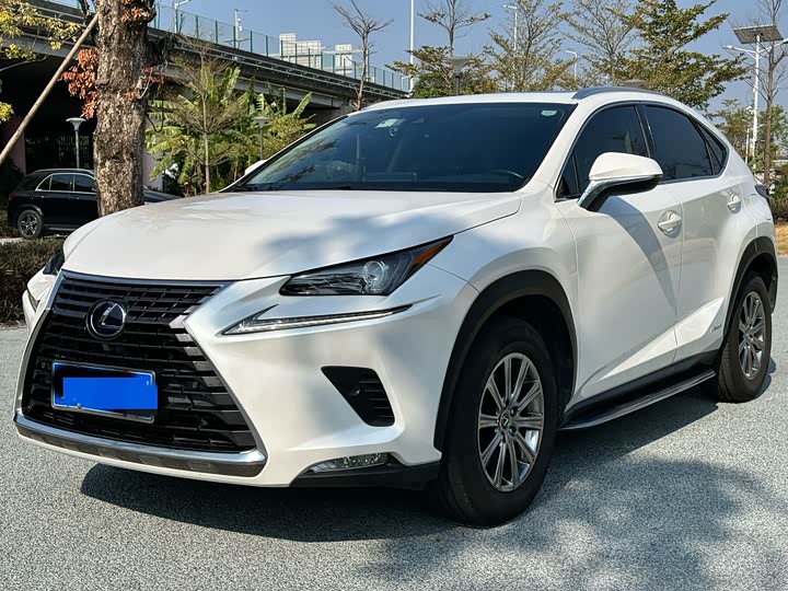 Фото 1 - Lexus NX