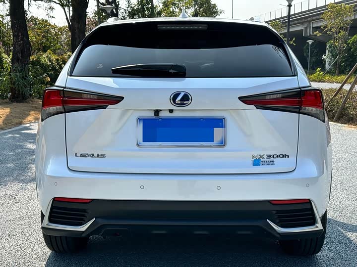 Фото 5 - Lexus NX