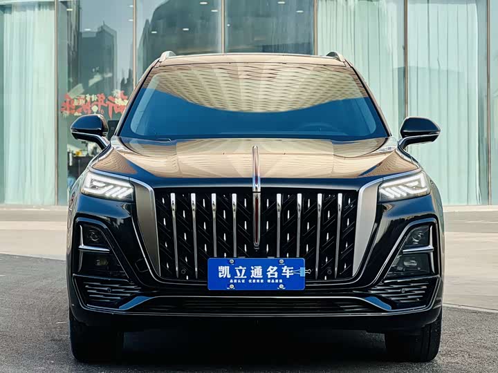 Фото 2 - Hongqi HS5