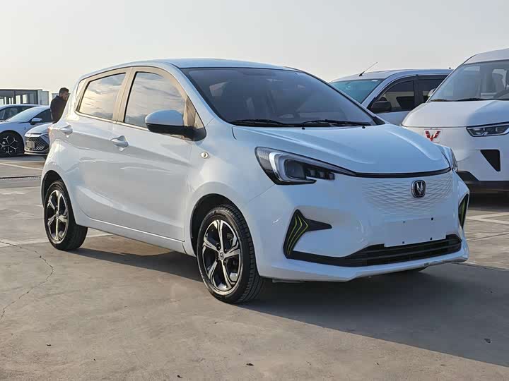 Фото 3 - Changan BenBen E-Star