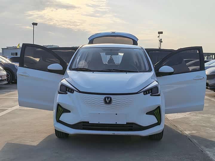 Фото 8 - Changan BenBen E-Star