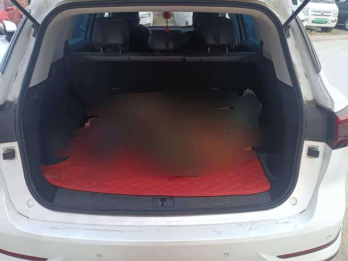 Фото 4 - Roewe RX5 Max