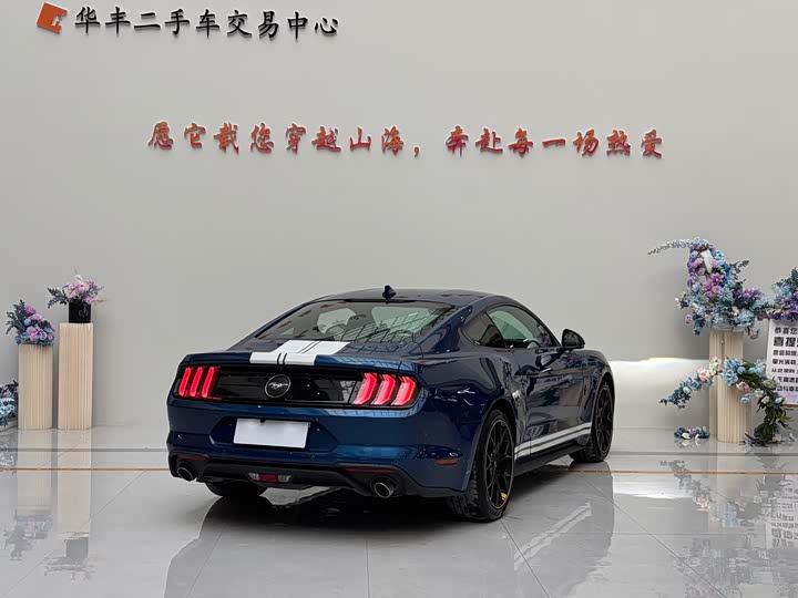 Фото 9 - Ford Mustang