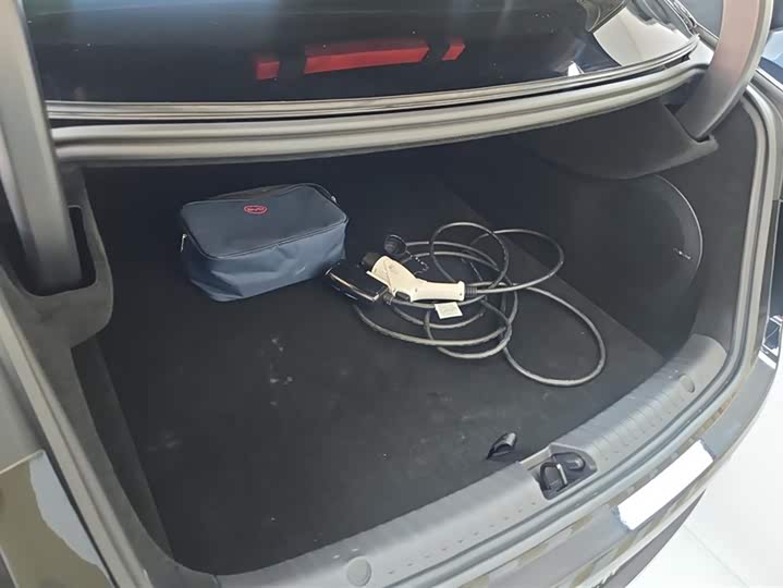 Фото 4 - BYD Han