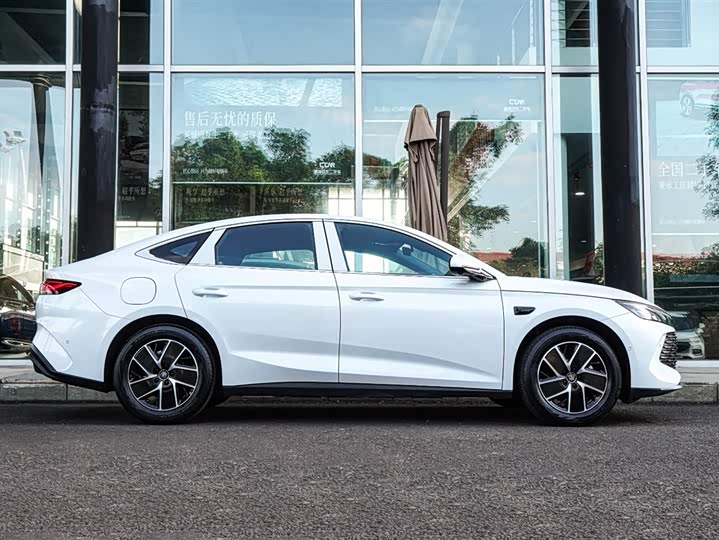 Фото 5 - BYD Qin L