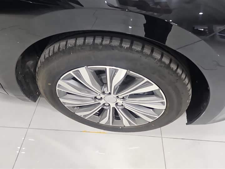 Фото 6 - Hongqi E-QM5