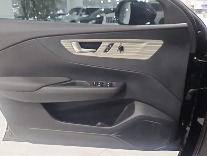 Фото 7 - Hongqi E-QM5