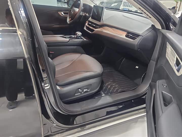 Фото 8 - Hongqi E-QM5