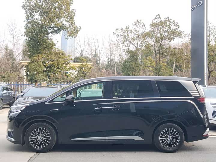 Фото 2 - Denza D9