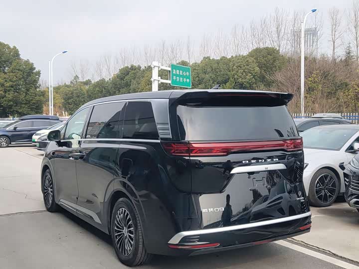 Фото 3 - Denza D9