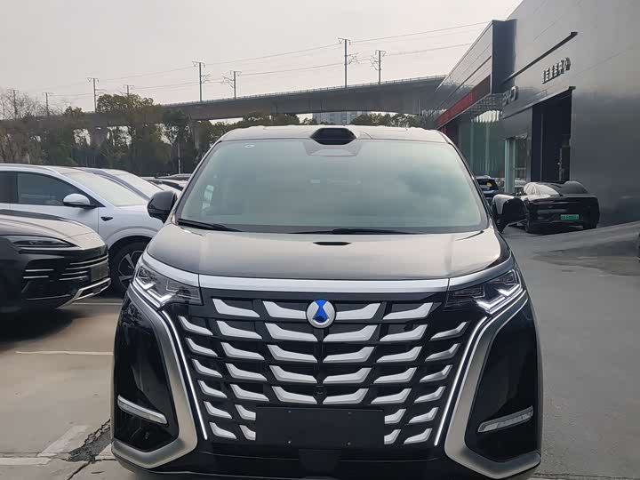 Фото 4 - Denza D9