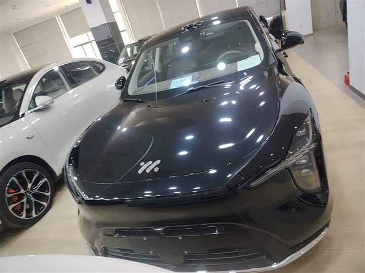 Фото 3 - IM motors LS6