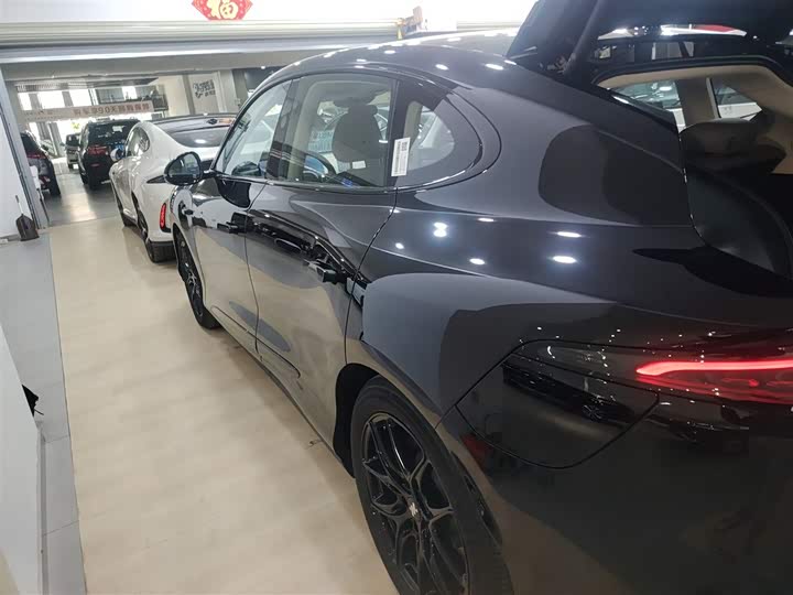 Фото 5 - IM motors LS6