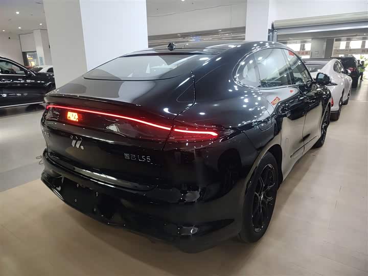 Фото 7 - IM motors LS6