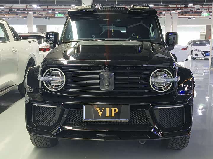 Фото 2 - Tank 300